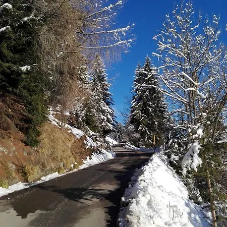 Wegscheiderhof Apartment Toblach